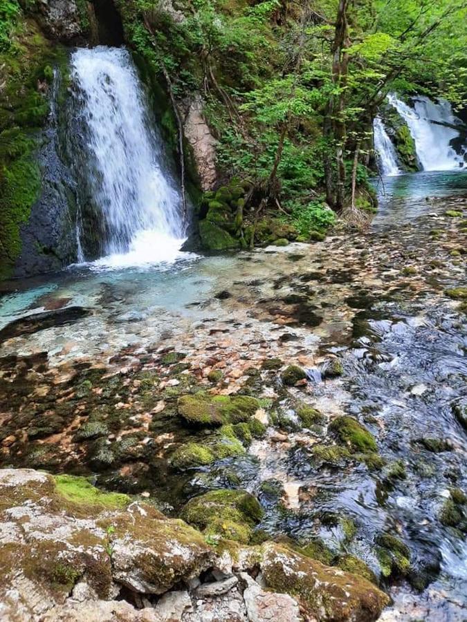 Appleby Apartments Kersnik Bohinj Dış mekan fotoğraf
